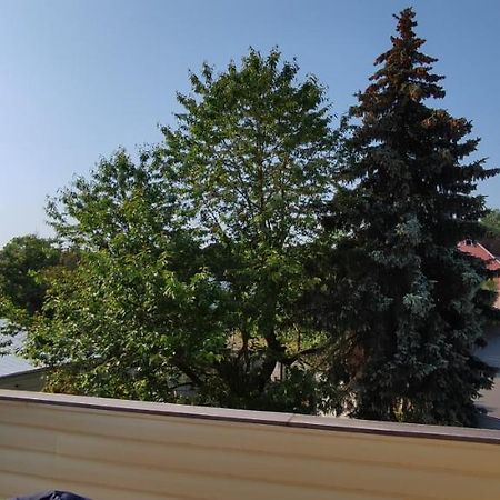 "Fuerstenhaus" Og Hofgeismar-Zentrum! Екстер'єр фото